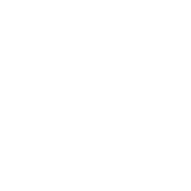 実力主義